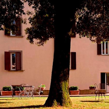 Palazzo La Fenice Massa Marittima Eksteriør billede
